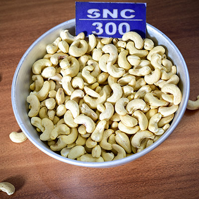 SNC300