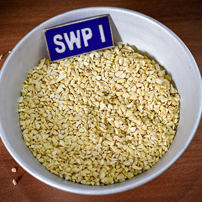 SWPI