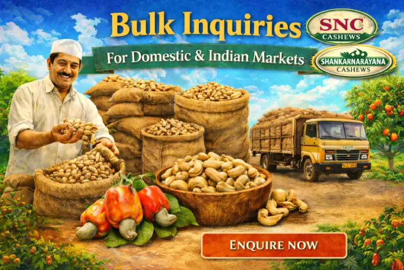 Cashew Distribution