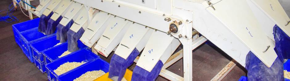 Processing Excellence Header