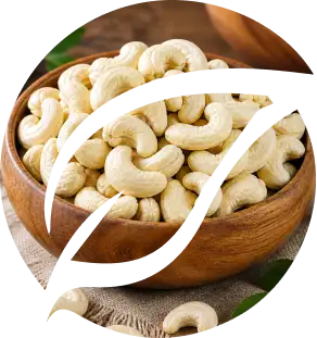shape