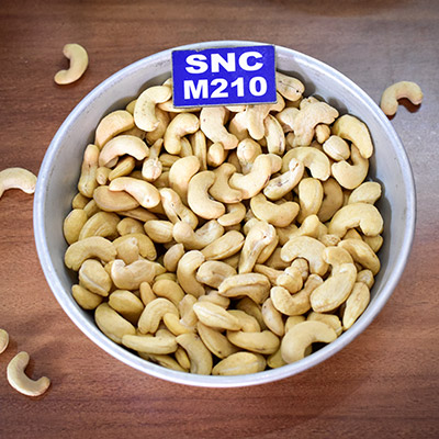 SNC M210