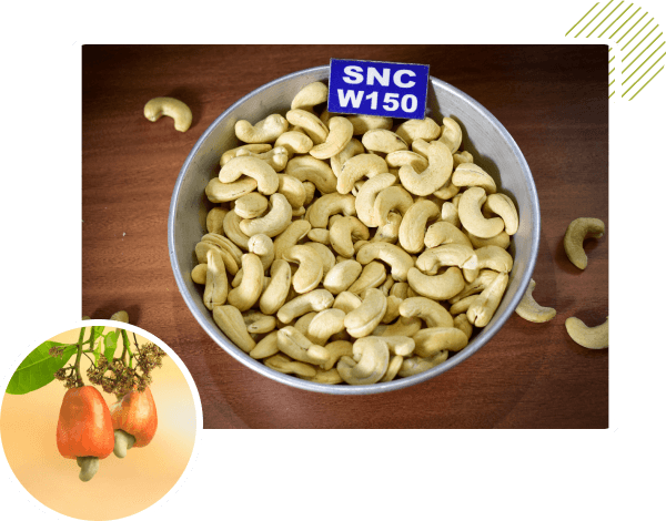 SN Cashew Grades